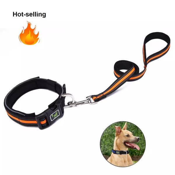 Buy cheap Modern Custom Dog Collar And Leash Adjustable Kit Pet Matching from wholesalers