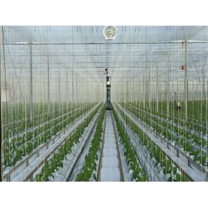 Buy cheap 9000m Polypropylene UV Stabilized Tomato Tying Garden Twine from wholesalers