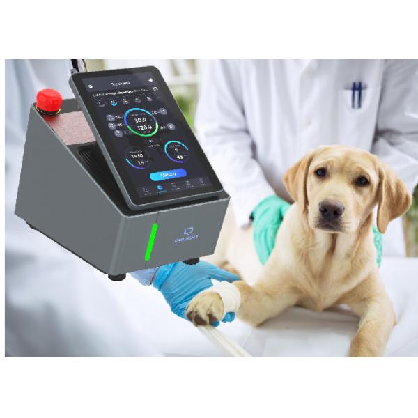 Quality Level Four Equine Laser Therapy Machine 8 Watt Pain Free for sale