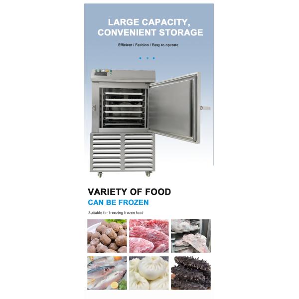 Easy Control Blast Freezer Cold Room 8 Trays Food Grade For Shrimp And Seafood