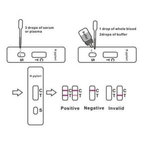 Antibody Rapid Detection H Pylori Stool Test Kit Cassette