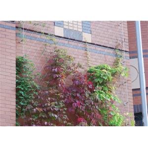 Buy cheap 100*100mm Stainless Steel Rope Mesh Green Wall 1mm Garden Mesh Climbing Plant Support from wholesalers