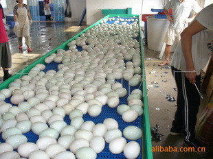 Buy cheap OEM Food Processing Machine Turing Conveyor from wholesalers