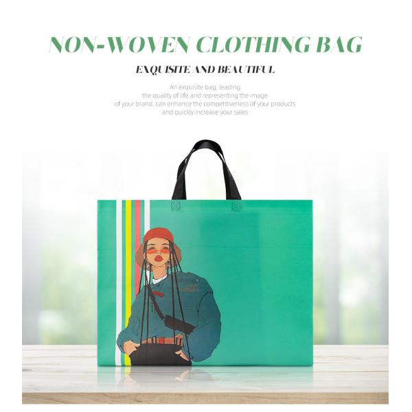 Quality Custom Printing Non Woven Clothing Bags Eco Friendly Biodegradable for sale