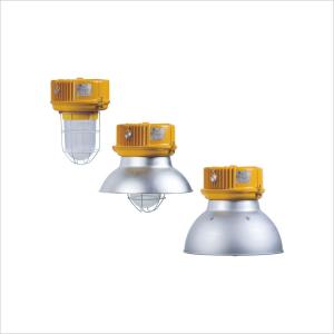 Buy cheap BnD81 Series Pendant Light Fittings Explosion Proof IP65 With ATEX IECEx Certification from wholesalers