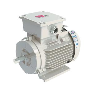 Buy cheap YFB3 series flamefroof frequency converter3-phase induction motor YFB3-80M1-8 YFB3-80M2-8 YBX-90S-8 YBX-90L YBX-90L-8 YFB3-100L-8 YFB3-112M-8 YFB3-132S1-8 YFB3-132S2-8 YFB3-160M1-8 YFB3-160M2-8 YFB3-1 from wholesalers