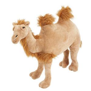 Buy cheap Camel Stuffed Plush Toys from wholesalers