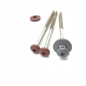 Buy cheap Aisi 316 SS Stainless Steel Chipboard Screws , A4 Torx Pan Painted Head Chipboard Screw T17 from wholesalers