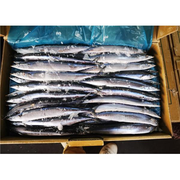 90g Whole Round Cololabis Saira Frozen Pacific Saury