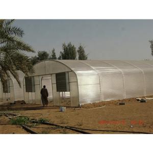 Buy cheap 3.3m Height Single Span Greenhouse Vegetable Growing Greenhouse With Hydroponic Systems from wholesalers