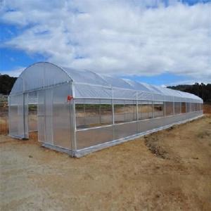 Polyethylene Film Tunnel Steel Frame Greenhouse Single Span Ground Inserted