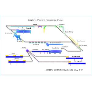 Customized Automatic Halal Poultry Slaughtering Equipment For Chicken Plucking