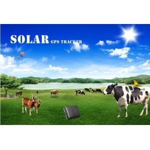 Solar gps tracker for big dog reachfar V26 mini gps tracker suitable for cattle