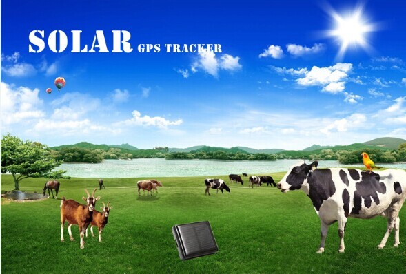 Buy cheap Solar gps tracker for big dog reachfar V26 mini gps tracker suitable for cattle tracking from wholesalers