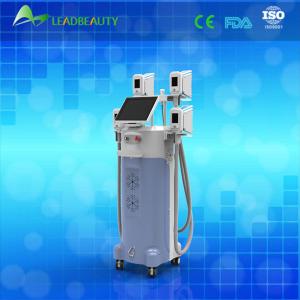 cryolipolysis loss weight machine cryolipolysis Fat freezing machine