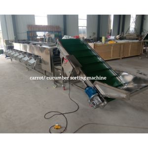 Buy cheap Carrot Sorting Machine, Carrot Grading Machine, Carrot Grader Sorter from wholesalers