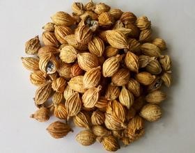 Buy cheap Fructus Amomi extract, Clove extract, Cuminum cyminum extract, 10:1, TCM Extract, Chinese manufacture, export, quality from wholesalers