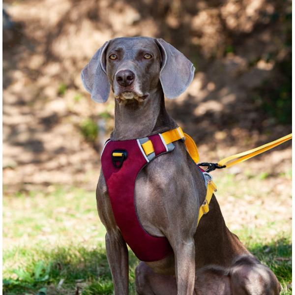 Quality Adjustable Reflective  Oxford Large Dog Harness Leash Set With Easy Control for sale