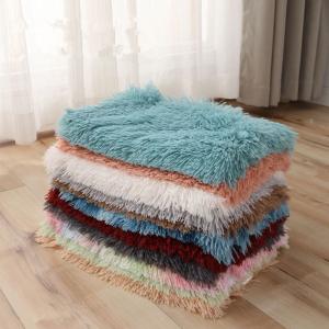 Plush Pet Mat Double Layer Warm Pet Blanket Dog Mat Chew Proof Dog Crate Mat Pet