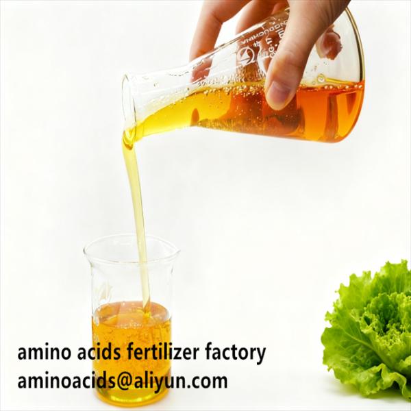 80% Concentration Amino Acid Liquid Fertilizer with High Purity and Quick