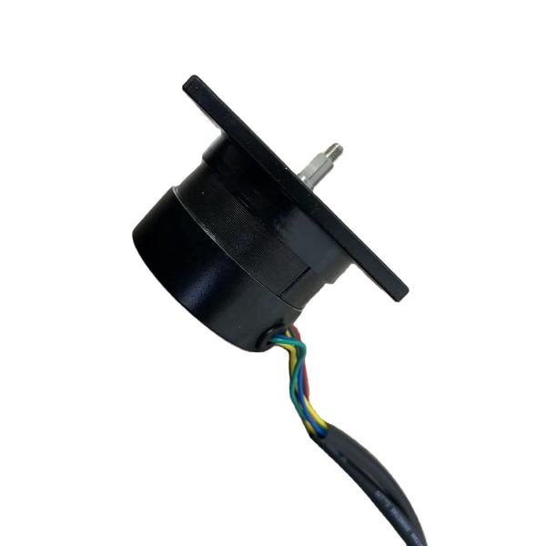 Size 63mm 63BLS Series Brushless Dc Motor Rated Torque Up To 0.8Nm to Replace Dunker Motors 50 watt 100 watt 200 watt