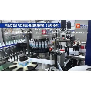 Automatic Hot Melt Adhesive Labeling Machine with 6000BPH-72000BPH Speed