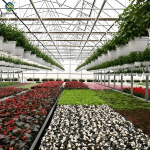 Buy cheap Glass Film Polycarbonate Greenhouse Flower Greenhouse With Intelligent Systems from wholesalers