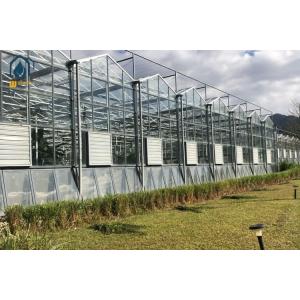 Buy cheap Glass Multi-Span Greenhouse Structure For Agriculture High-Yield Production from wholesalers