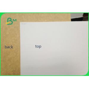 450gsm ISO Certified Clay Coated Kraft Back Food Grade Paper Roll / White Liner