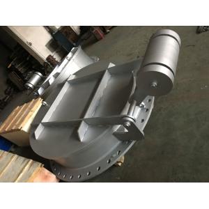 Flap Valve Made By Stainless Steel Water Check Valve F304 Or CF8M Size From