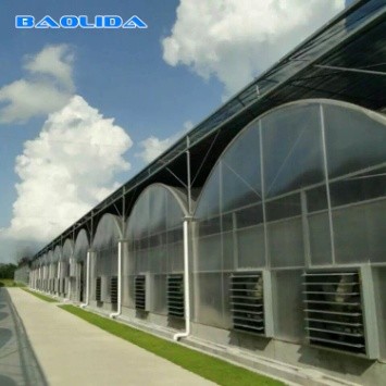 Quality Agricultural Flowers Shading Multi Span Hot Dipped Galvanized Polycarbonate Greenhouse for sale