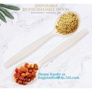 Buy cheap factory direct biodegradable corn starch 5 inch dessert spoon,food grade disposable biodegradable corn starch spoon pac from wholesalers