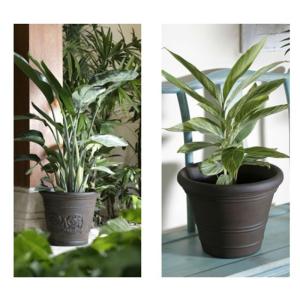 Buy cheap Rotational Moulding Plant Pot Moulds CNC Maching Process New Condition from wholesalers