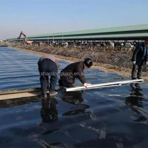 Double Texture HDPE Geomembrane Fish Pond Liner in 1m-8m Width for Performance