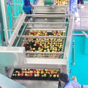 Buy cheap Fruit Grinder Fruit Processing Equipment , Electric Apple Fruit Crusher Machine from wholesalers
