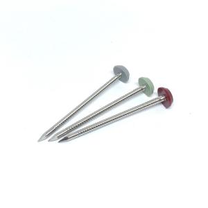 Buy cheap Rustproof Stainless Steel A4 Plastic Head Nails from wholesalers
