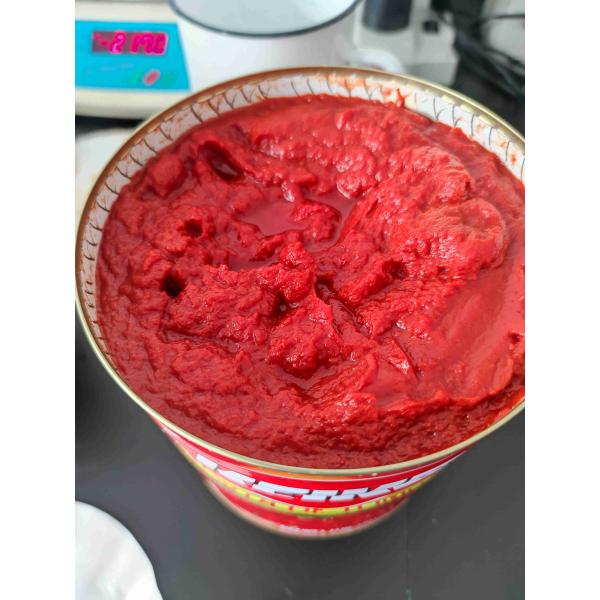 Quality Fresh Canned Tomato Paste 70-400g China Origin for sale