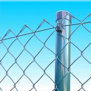 1-1/2" Sports Ground Diamond Net Fencing Width 0.5m To 4m