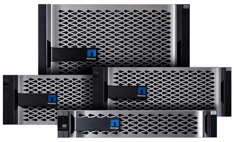 NETAPP DS212C 12*10TB X318A-R6