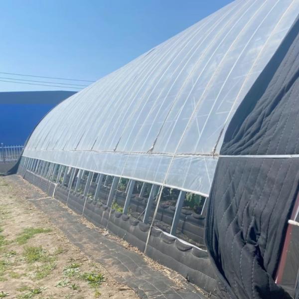 Vegetable Sunlight Greenhouse System