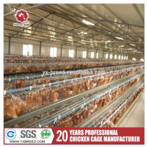 Buy cheap Layer Poultry Equipment A Frame Layer Cages SGS Approved from wholesalers