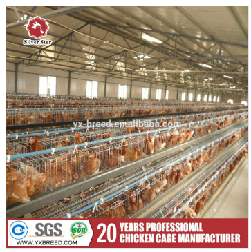 Quality Layer Poultry Equipment A Frame Layer Cages SGS Approved for sale
