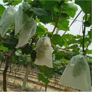 Buy cheap Waterproof Plant Protection Bag To Protect Grapes Vegetable Practical from wholesalers