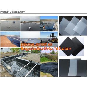 Buy cheap Polyester Needle Punched Nonwoven Geotextile Membrane price,Polyester Needle Punched Nonwoven Geotextile Membrane BAGEAS from wholesalers