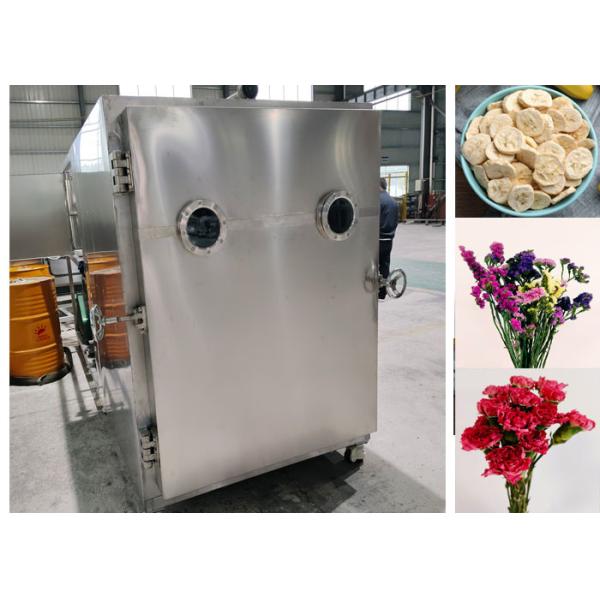 Quality Efficient Food Vacuum Freeze Dryer Machine With Leybold System for sale