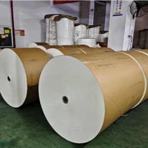 Buy cheap 1-7 Colors Single Double PE Coated Brown Kraft Cup Paper Roll for Making Various Cups from wholesalers