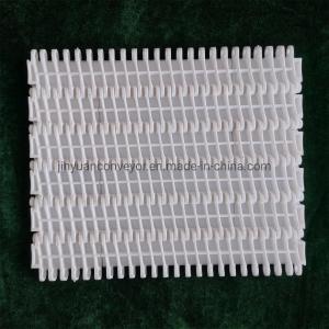 Plastic Conveyor Belts with 27.2mm Pitch for Cartons Processing Industry