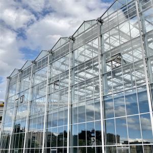 Buy cheap Venlo Automated Plant Hydroponic Tempered Glass Greenhouse Multi Span Agricultural from wholesalers