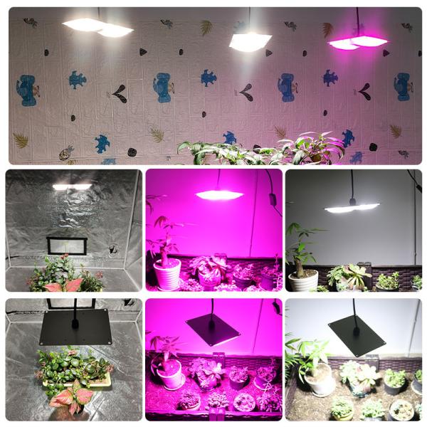Energy Saving Full Spectrum Led Grow Lights Board 50W Voltage 110V