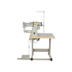 Computerized Pattern 250×110mm 220V Servo Motor Sewing Machine